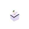 Gold and Diamond Products -18K Female Diamond Ring